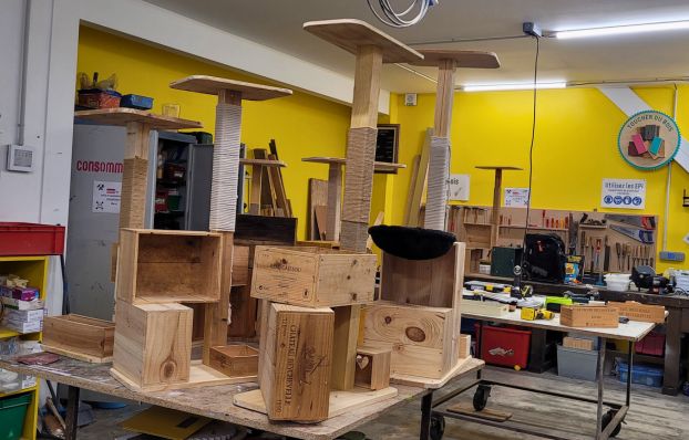 COM - header - site web - atelier arbre à chat