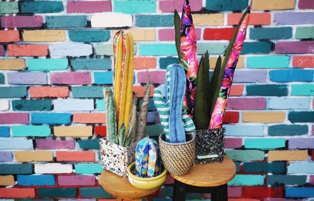 COM - header - site web - cactus et plantes en tissus