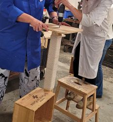 COM- site web - image mise en avant - atelier arbre à chat