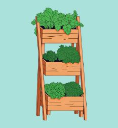 COM- site web - image mise en avant - potager vertical