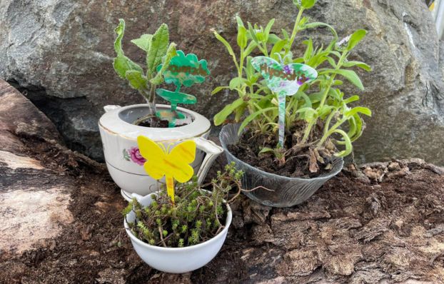 COM - header - site web - fabrique tes marques plantes