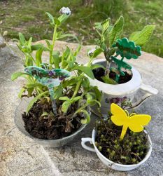 COM- site web - image mise en avant - fabrique tes marques plantes